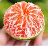 云南 大果 青皮蜜橘 蜜桔 4.5斤装 单果50mm+
