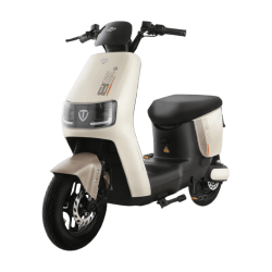 台铃 星河EB 48V30Ah锂电池 90KM续航 灰色 电动自行车
