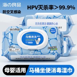 海良品 HLP10 马桶消毒湿巾 80片*1包