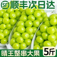 移动端：顾一 四川 阳光玫瑰葡萄 1斤