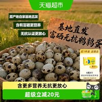 移动端、88VIP：鹏昌 送货上门鹏昌60枚富硒无抗鹌鹑蛋