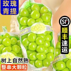 嵋岭林翔 头茬阳光玫瑰青提晴王葡萄新鲜应季水果葡提子整箱包邮