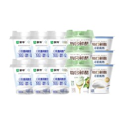 蒙牛 每日鲜酪 希腊酸奶牛油果/原味/0乳糖 100g*12杯