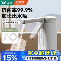 双枪 静音 电动抽水泵