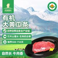 天莱香牛 新疆有机黄瓜条牛肉300g 谷饲生鲜牛肉烧烤食材清真