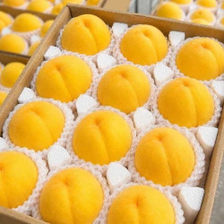 顺丰 山东蒙阴 特大果 黄桃 黄金油桃 净重2.25斤 5-7个