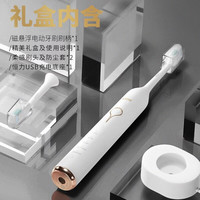 狮王 磁悬浮声波电动牙刷 情侣款 极智白1支 智能防水