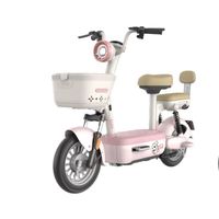 百亿补贴：雅迪 C12S-G 电动自行车 48V21Ah