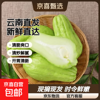 京喜 正宗云南现摘现发佛手瓜 4斤 带箱