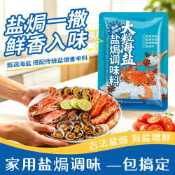 洗象堂 大粒海盐盐焗调味料500g/袋 盐焗粗海盐 盐焗鸡盐焗海鲜料理包