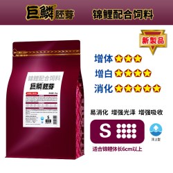 神阳 巨鳞锦鲤鱼饲料胚芽易消化低温专用冬季鱼粮冬天鱼食赛级增色