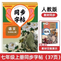 七年级上册下册语文字帖 七上语文字帖七年级语文字帖人教版七年级上册语文字帖小学升初一专用7上下语文字帖每日一练写字课课课练