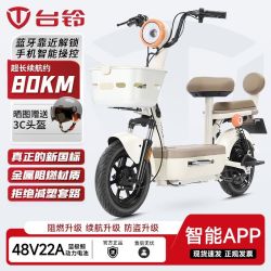 台铃 新新国标电动自行车 48v22a 女智能轻便成人代步车