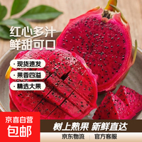 京喜加 广西红心火龙果 金都一号 6斤