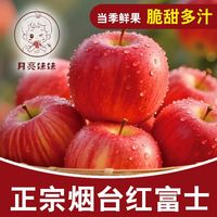 月亮妹妹 需要4人拼单正宗山东烟台红富士苹果脆甜栖霞新鲜水果彩箱包邮