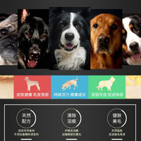 雷米高 大型犬通用型 狗粮
