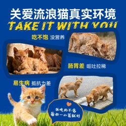 迪尤克 猫粮喂流浪猫专用营养便携小包装成猫幼猫救助通用试吃装