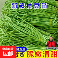 京东 山东莘县大棚豇豆新鲜长豆角凉拌菜脆嫩鲜甜 农家精选带箱2斤（净重1.7斤）