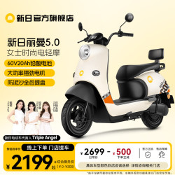 新日 XR1200DT-2R 电动车 60V20Ah