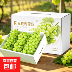 阳光玫瑰葡萄四川新鲜晴王礼盒香印葡萄应季水果 净重3-3.6斤单果6g