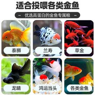 德瑞森 高蛋白增体发色 鱼粮