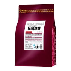 神阳 巨鳞锦鲤鱼饲料胚芽易消化低温专用冬季鱼粮冬天鱼食赛级增色