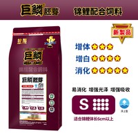 神阳 巨鳞锦鲤鱼饲料 胚芽易消化 5kg 鱼粮