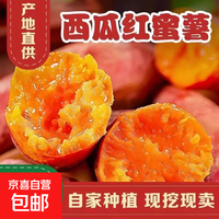 正宗西瓜红沙地蜜薯软糯香甜烟薯直播间超市京东包邮 新鲜西瓜红蜜薯2斤 含箱 中大果（3两起）