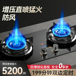 荣事达 嵌入式天然气液化气猛火超大火力双灶家用燃气灶
