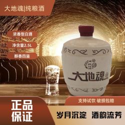 大地魂 纯粮食洞存四年 52%vol 浓香型白酒 2.5L