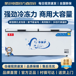 堡尔家用商用卧式冰柜大容量冷藏冷冻两用单温双温保鲜速冻冷冻柜