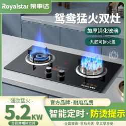 荣事达 台嵌两用九腔猛火燃气灶煤气灶天然气液化气双定时家用双灶