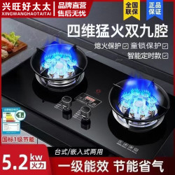 兴旺好太太 煤气灶双灶家用燃气灶两用猛火灶液化气天然气燃气灶具