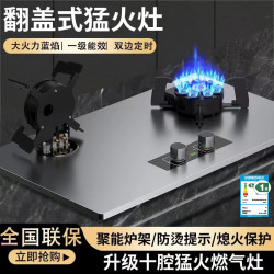 兴旺好太太 燃气灶网红翻盖天然气液化气猛火灶台嵌两用功能双灶炉
