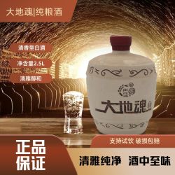 大地魂 52%vol 清香型白酒 2.5L 单瓶装