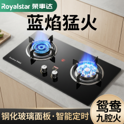 荣事达 家用猛火双灶燃气灶不锈钢节能天然气液化气