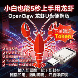忆捷 Openclaw小龙虾U盘双接口便携式AI智能体即插即用免安装一键启动