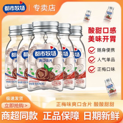 都市牧场 正梅味果丹含片 45g 大瓶装