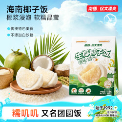 南国 椰子饭 558g 海南特产 网红小吃
