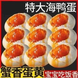 凌阿姨 广西北部湾海鸭蛋 红泥腌制咸鸭蛋