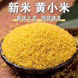 寻鲜君山西特产黄小米新米5斤