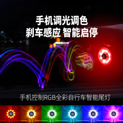 BOBONIN 自行车智能尾灯 刹车感应手机控制 RGB色13种灯效