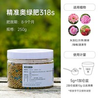 海蒂的花园 欧洲木绣球玫瑰花苗庭院花卉盆栽植物耐寒树苗
