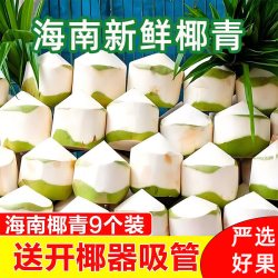辉掌柜 海南椰青新鲜椰子 9个装 单果950g及以上
