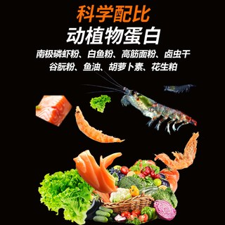佩尼森 龟粮 幼龟开口粮 草龟巴西龟通用 50g