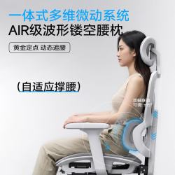 千禧华府 人体工学椅