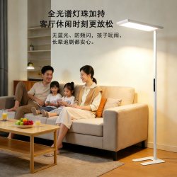 stakunft 思坦库 全光谱护眼立式落地灯 100W性价款 适合 <25㎡