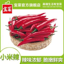 宝菜 新鲜小米辣朝天椒尖椒泡椒红辣椒火锅调料新鲜包邮2斤