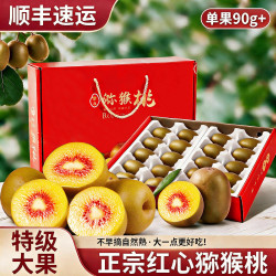 城南堡花 四川蒲江红心猕猴桃 礼盒装20颗(90-110g)大果