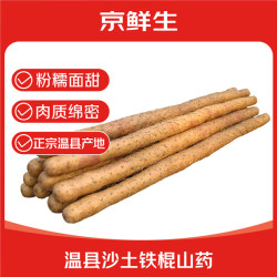 京鲜生 河南焦作温县沙土铁棍怀山药5斤40-50cm生鲜蔬菜新鲜中秋源头直发
